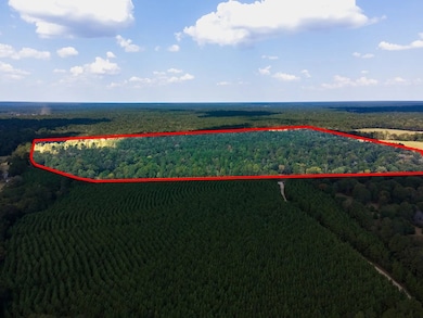 TBD County Road 2798, Shelbyville, TX 75973 - photo 6