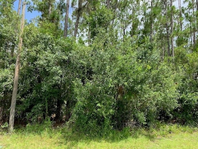 0 Joe Jeff St, North Port, FL 34286 - photo 2