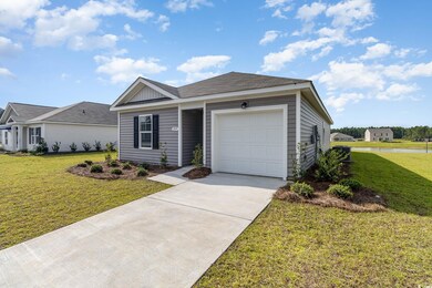 492 Harvest Ridge Way unit Lot 333- Helena A, Bucksport, SC 29527 - photo 3