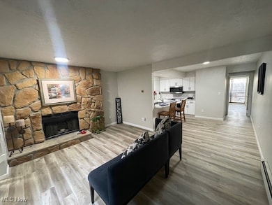 Living room with a baseboard radiator, light wood-type flooring, a stone fireplace, and a textured ceiling