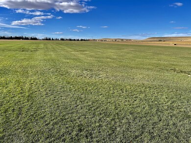 Sod Fields