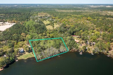 Spring Lake Rd Lot (Aerials)-14