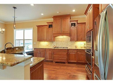 Kitchen. Gas cooktop, vented hood, cabinet lightin