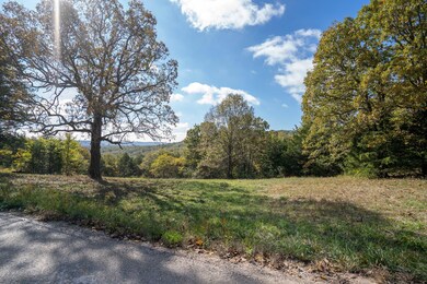 4 Acres Fox Fire Knoll Dr, Kimberling City, MO 65686 - photo 4
