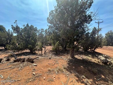 Lot #2 Power Line Rd unit S, Heber, AZ 85928 - photo 3