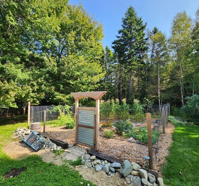 Vegetable Garden2