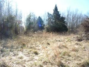 1633 Hawkins Rd, Harrison, AR 72601 - photo 7