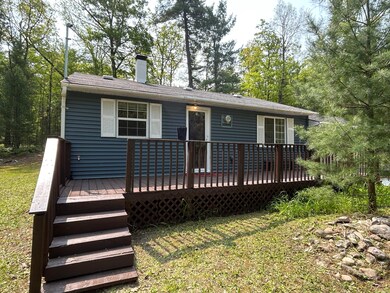 5805 S Pershing Rd, Baldwin, MI 49304 - photo 3