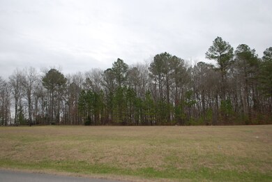 19 Waterford Dr, Manchester, TN 37355 - photo 2