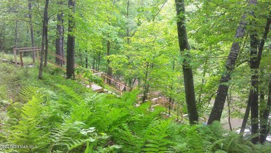 steps