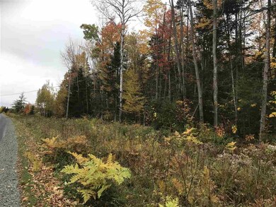 0 Fish Pond Rd unit Lot 19 4781163, Colebrook, NH 03576 - photo 3