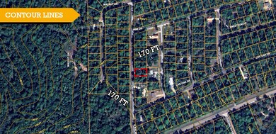 0 Oak Dr unit 25669854, Trinity, TX 75862 - photo 6