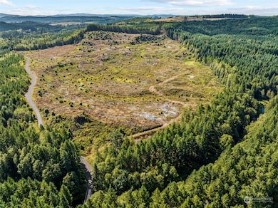 0 Salmon Creek Rd unit NWM2156058, Toledo, WA 98591 - photo 2