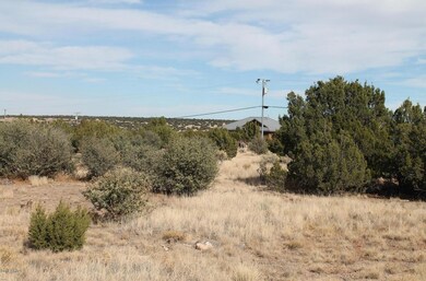 Yucca4