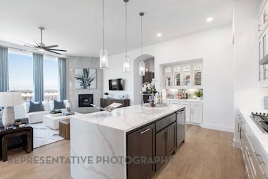 1708 Crimson Sunset Dr, Georgetown, TX 78628 - photo 4