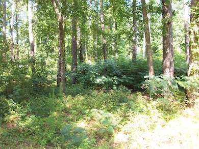 43 Shady Ln, Jackson, GA 30233 - photo 3