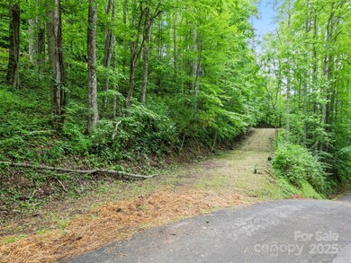 13 Galega Trail unit D, Maggie Valley, NC 28751 - photo 5