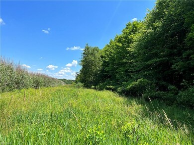 0 Stanhope Kelloggsville Rd unit 4473477, Denmark, OH 44032 - photo 2