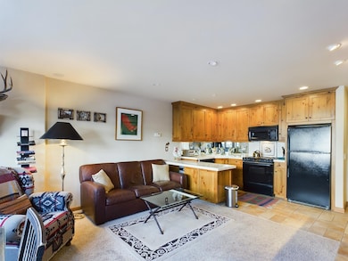125 Picabo St F7