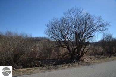 0 Wilson Rd unit 1931669, East Jordan, MI 49727 - photo 2