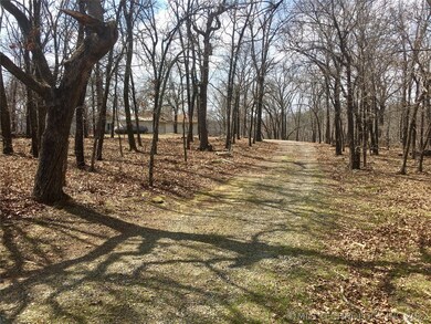 the driveway leading up to the cabin