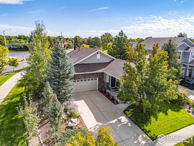 13380 Red Deer Trail, Broomfield, CO 80020 - photo 4