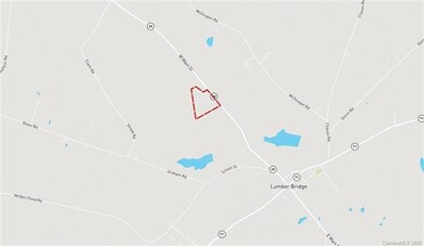 30 Acres N Carolina 20, Lumber Bridge, NC 28537 - photo 6