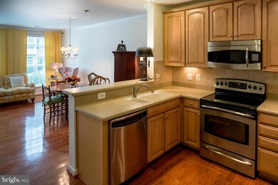 22747 Verde Gate Terrace unit 17C, Ashburn, VA 20148 - photo 7