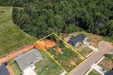 211 Mockingbird Ln, Dayton, TN 37321 - photo 3