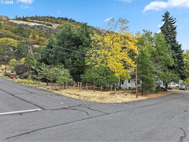 0 E Franklin St, Bingen, WA 98605 - photo 5