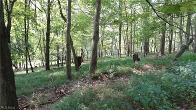 TBD Bryden Rd, Clay, WV 26062 - photo 6