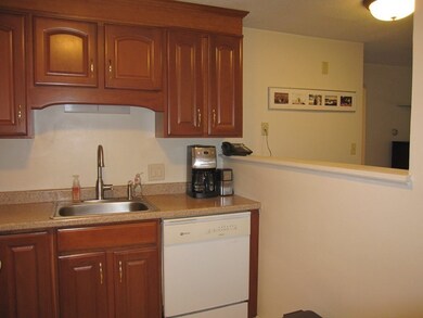 980 N Main St unit 11, Randolph, MA 02368 - photo 5