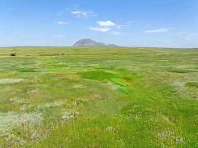 TBD 40 ac. S Dakota 79 unit Lot 2, Sturgis, SD 57785 - photo 7