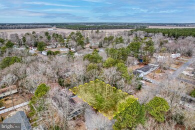 C19 Brach St, Georgetown, DE 19947 - photo 5