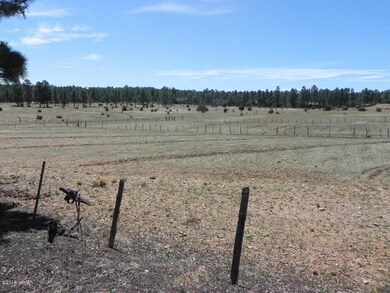 251 E Whipple St, Show Low, AZ 85901 - photo 5