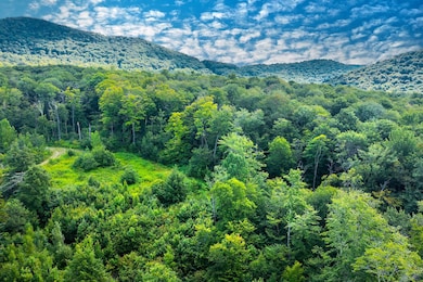 Lot 3 Route 11 30, Winhall, VT 05340 - photo 2