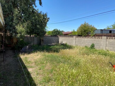 Large backyard