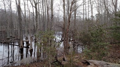 00 Reds Way, Prince George, VA 23842 - photo 4