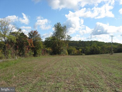 0 Fish Hatchery Rd unit WVMO117550, Berkeley Springs, WV 25411 - photo 6