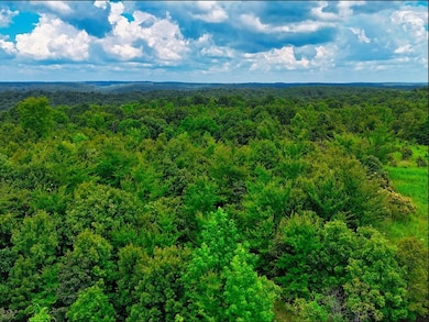 0 Shores Trail unit RTC3000408, Stewart, TN 37175 - photo 5