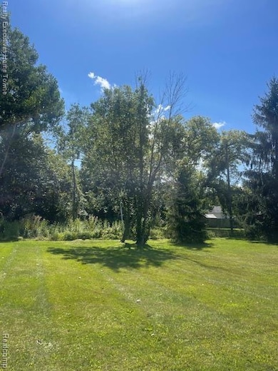 00 Campau Ave, Port Huron Township, MI 48060 - photo 3