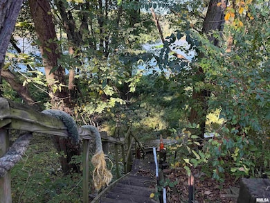 20 Willits Ln, Keithsburg, IL 61442 - photo 5