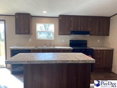 21 McElveen Cir, Lynchburg, SC 29080 - photo 4