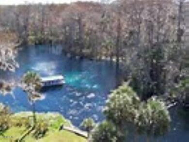 2751 W Blink Dr, Citrus Springs, FL 34434 - photo 3