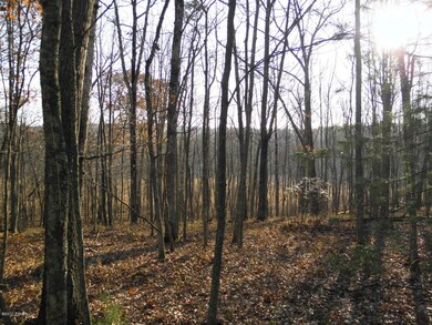 7 Briarcrest Dr, Lackawaxen Township, PA 18428 - photo 6