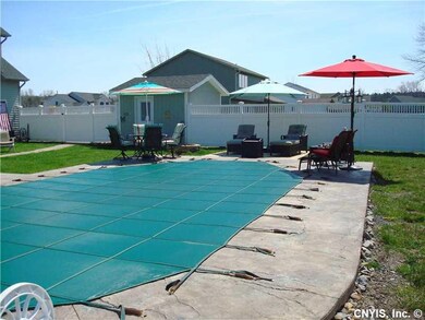 Pool In Ground.