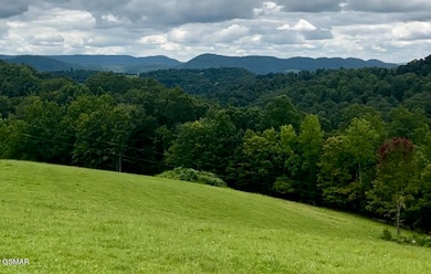 TBD Giles Ln, Harrogate, TN 37752 - photo 3