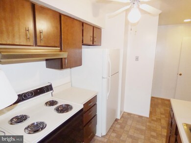 9303 Jarrett Ct, Montgomery Village, MD 20886 - photo 3