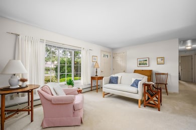43 Statice Ln, Hyannis, MA 02601 - photo 5