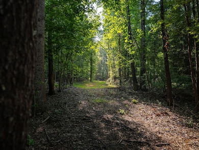 0 Goldmine Rd, Spartanburg, SC 29307 - photo 5